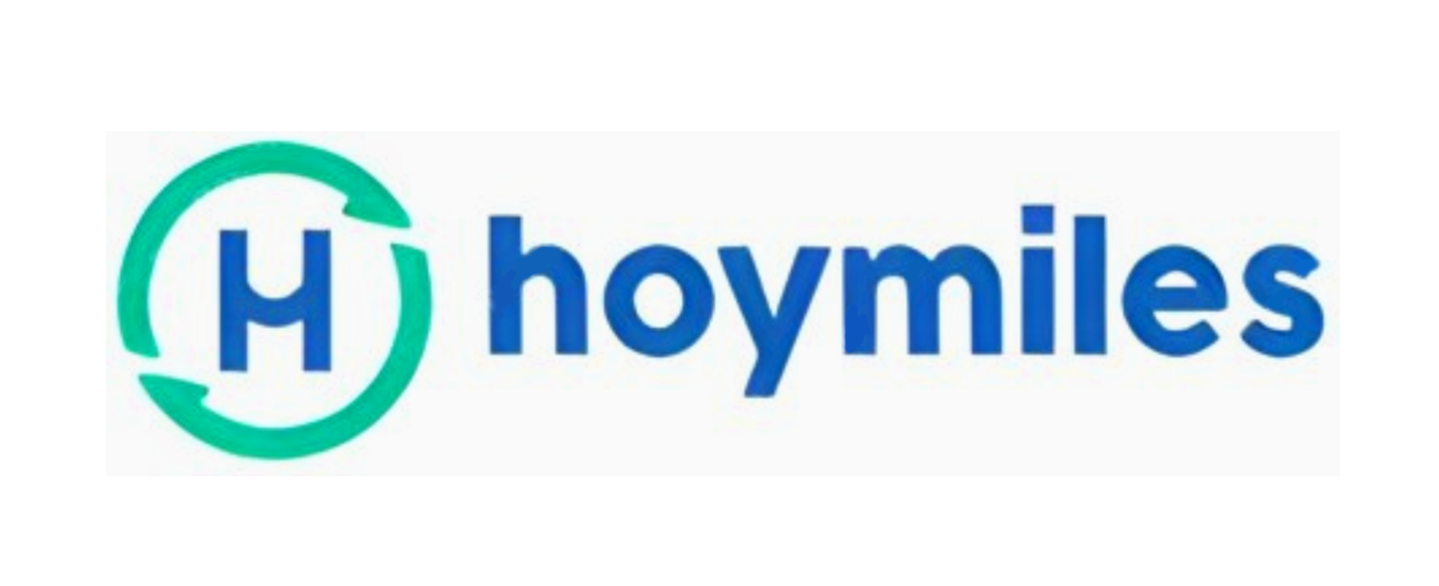 Logo of HOYMILES